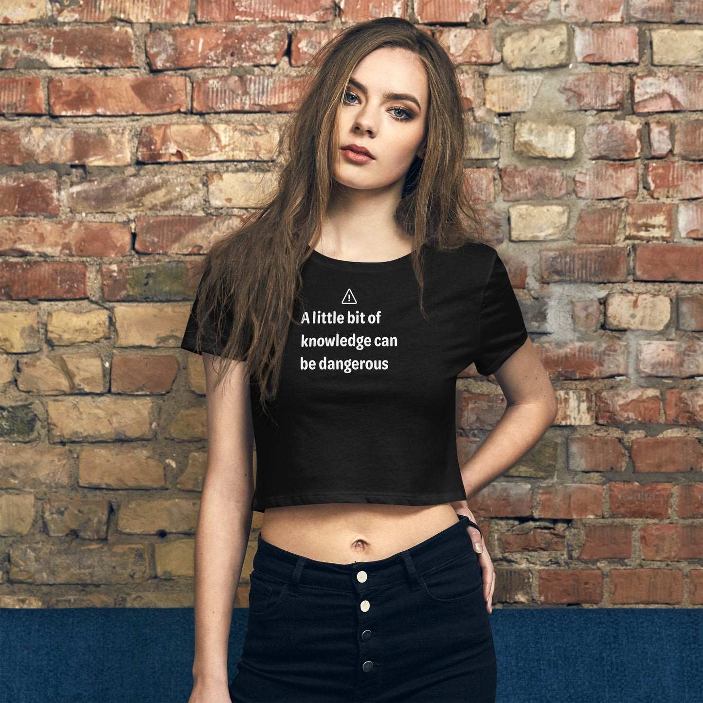 Dangerous level of knowledge - White Text - Womens Crop Tee